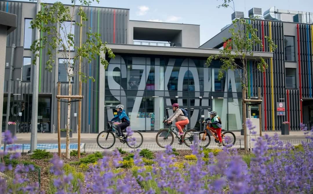 Ile placówek oświatowych w Polsce? Pełne dane i struktura 2024/25